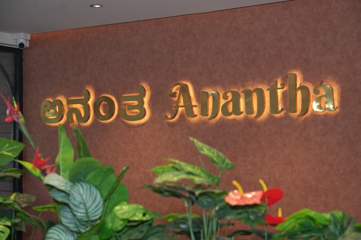 Social Events - Image 1